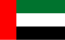 UAE flag
